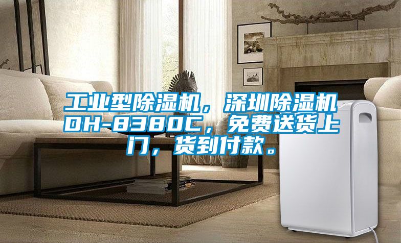 工業型除濕機，深圳除濕機DH-8380C，免費送貨上門，貨到付款。