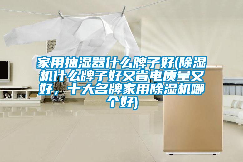 家用抽濕器什么牌子好(除濕機(jī)什么牌子好又省電質(zhì)量又好,十大名牌家用除濕機(jī)哪個(gè)好)