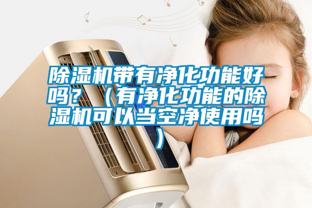 除濕機帶有凈化功能好嗎?(有凈化功能的除濕機可以當空凈使用嗎)