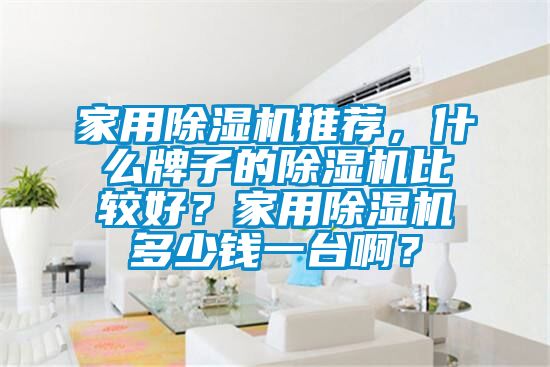 家用除濕機推薦，什么牌子的除濕機比較好？家用除濕機多少錢一臺?。?/></p>
						    <p style=
