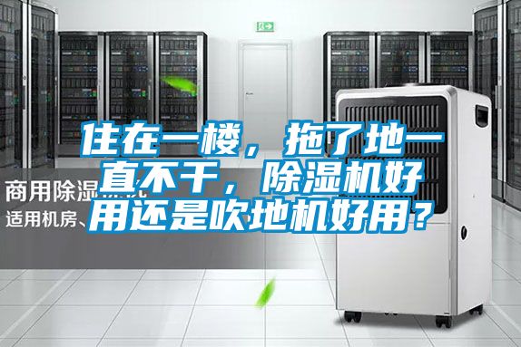 住在一樓，拖了地一直不干，除濕機好用還是吹地機好用？