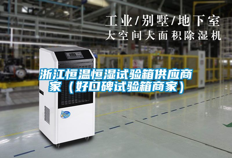 浙江恒溫恒濕試驗箱供應(yīng)商家(好口碑試驗箱商家)