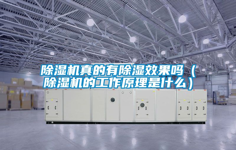 除濕機真的有除濕效果嗎(除濕機的工作原理是什么)