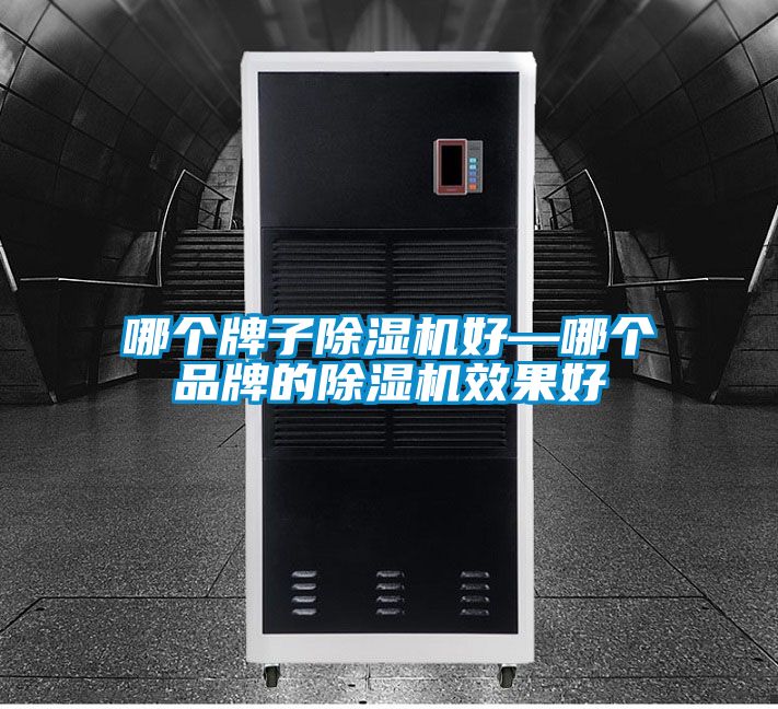 哪個牌子除濕機(jī)好—哪個品牌的除濕機(jī)效果好