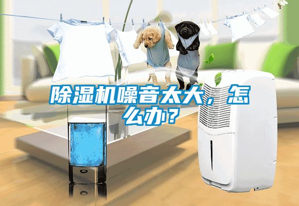 除濕機噪音太大，怎么辦？