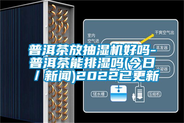 普洱茶放抽濕機好嗎-普洱茶能排濕嗎(今日/新聞)2022已更新
