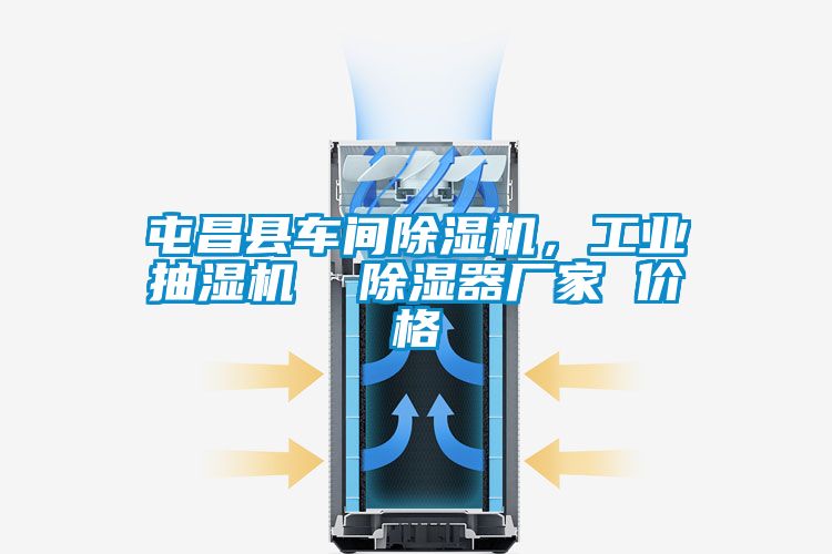 屯昌縣車間除濕機,工業(yè)抽濕機 除濕器廠家 價格