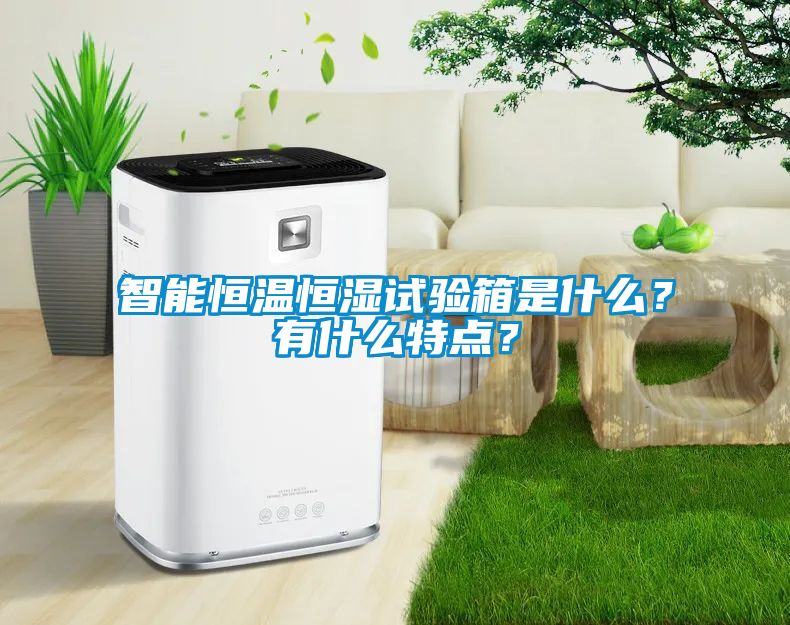智能恒溫恒濕試驗(yàn)箱是什么?有什么特點(diǎn)?